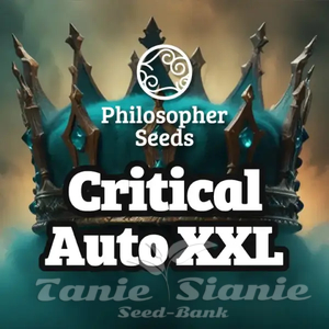 Critical Auto XXL - PHILOSOPHER SEEDS