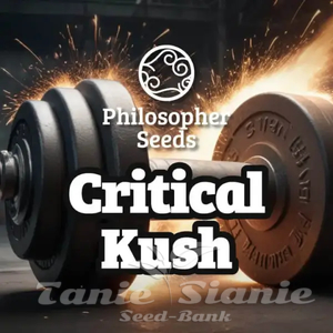 Critical Kush - PHILOSOPHER SEEDS