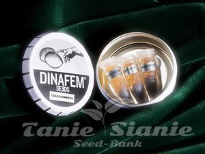 Collectors Pack Nº 29 - DINAFEM