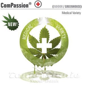 DUTCH PASSION - CBD ComPassion