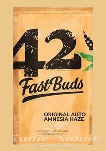 Original Auto Amnesia Haze - FASTBUDS