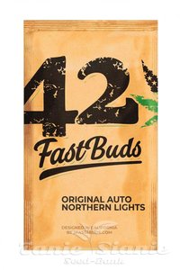 Original Auto Northern Lights - FASTBUDS