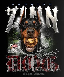 Frosted Zinn x Cookie Dog Auto - BARNEY'S FARM