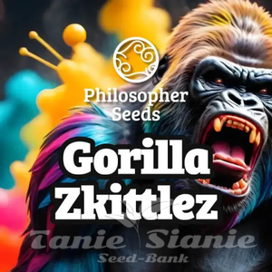 Gorilla Zkittlez - PHILOSOPHER SEEDS