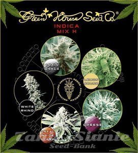 Indica Mix H - GREEN HOUSE SEEDS