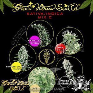 GREEN HOUSE SEEDS - Sativa/Indica Mix C
