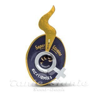 Nasiona Ibiza Farmer's - SUPER STRAINS