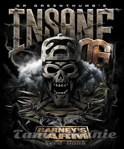 Insane OG - BARNEY'S FARM