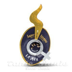 Nasiona La Jefa - SUPER STRAINS