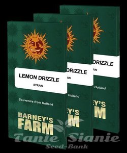 Lemon Drizzle - BARNEY'S FARM