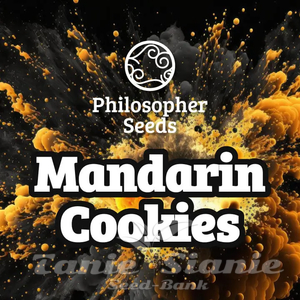 Mandarin Cookies - PHILOSOPHER SEEDS
