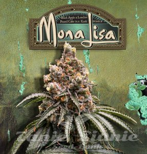 Mona Lisa - T.H. SEEDS