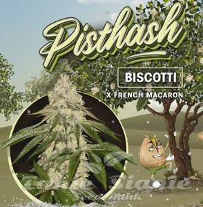 Pisthash - T.H. SEEDS