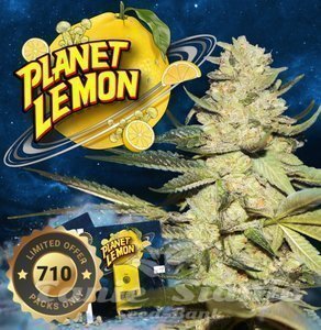 Planet Lemon - T.H. SEEDS