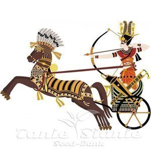 Limited Edition - PYRAMID SEEDS