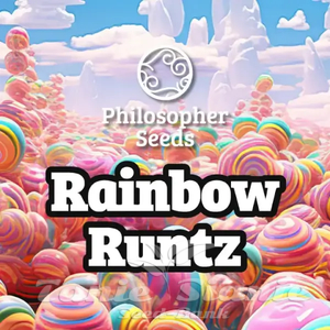Rainbow Runtz - PHILOSOPHER SEEDS