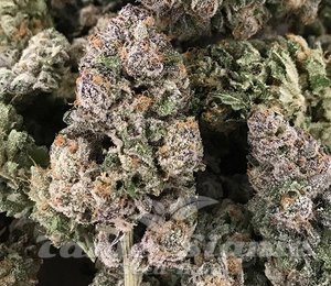 Dark Ghost Train - RARE DANKNESS