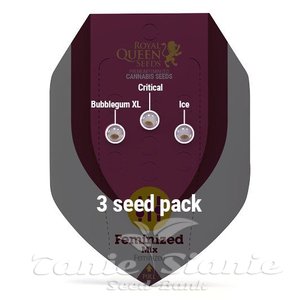 Feminized Mix - ROYAL QUEEN SEEDS