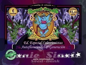 SWEET SEEDS - Autoflowering Collector 2 + Generation Edition