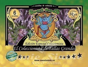 Autoflowering Collector Tallas Grandes Edition - SWEET SEEDS