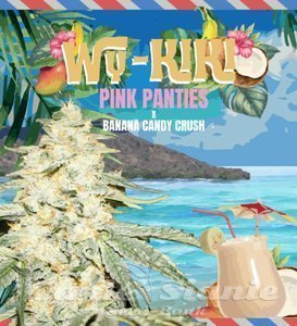 Wy-Kiki - T.H. SEEDS