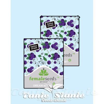 Dream Berry czyli nowość od Femele Seeds