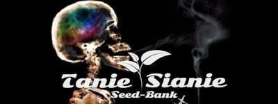 Jak długo marihuana pozostaje w Twoim organizmie?