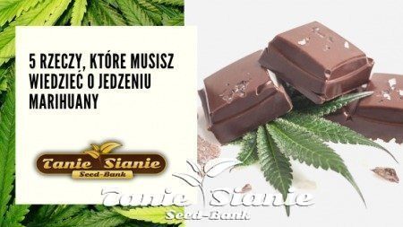 5 rzeczy, które musisz wiedzieć o jedzeniu marihuany