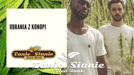 Ubrania z Konopi