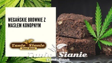 Wegańskie brownie z masłem konopnym