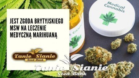 Jest zgoda brytyjskiego MSW na leczenie medyczną marihuaną