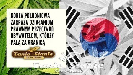Korea Południowa zagraża działaniom prawnym przeciwko obywatelom, którzy palą za granicą