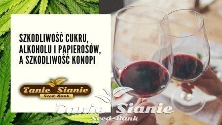 Szkodliwość cukru, alkoholu i papierosów, a szkodliwość konopi