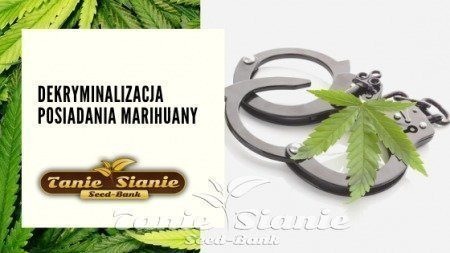 Dekryminalizacja posiadania marihuany