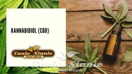 Kannabidiol (CBD)