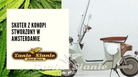 Skuter z konopi stworzony w Amsterdamie