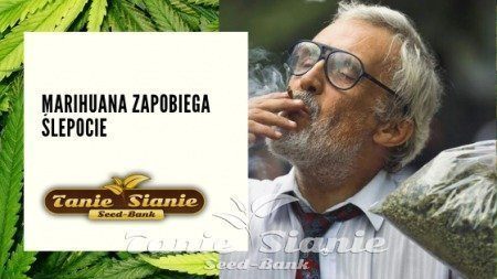 Marihuana zapobiega ślepocie