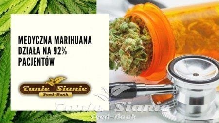 Medyczna marihuana działa na 92% pacjentów