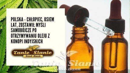POLSKA - Chłopiec, osiem lat, zostawił myśli samobójcze po otrzymywaniu oleju z konopi indyjskich