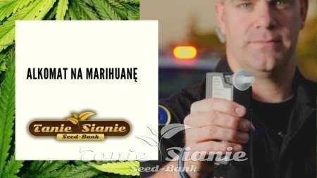 Alkomat na marihuanę