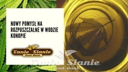 Nowy pomysł na rozpuszczalne w wodzie konopie