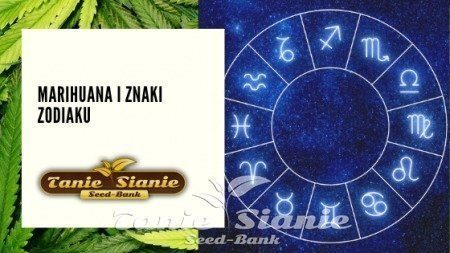 Marihuana i znaki zodiaku