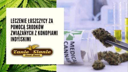 Leczenie łuszczycy za pomocą środków związanych z konopiami indyjskimi