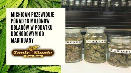 Michigan przewiduje ponad 18 milionów dolarów w podatku dochodowym od marihuany