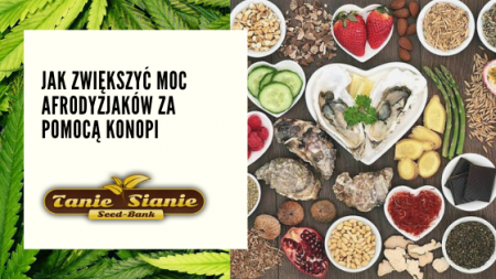 Jak zwiększyć moc afrodyzjaków za pomocą konopi