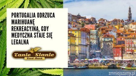 Portugalia odrzuca marihuanę rekreacyjną, gdy medyczna staje się legalna