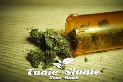 Choroba Alzheimera a Marihuana