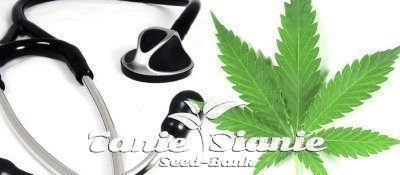 Zaburzenia lękowe a marihuana