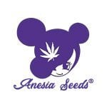 Logo marki Anesia Seeds - nasiona marihuany