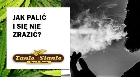 Jak palić i się nie zrazić – podstawy dla początkujących